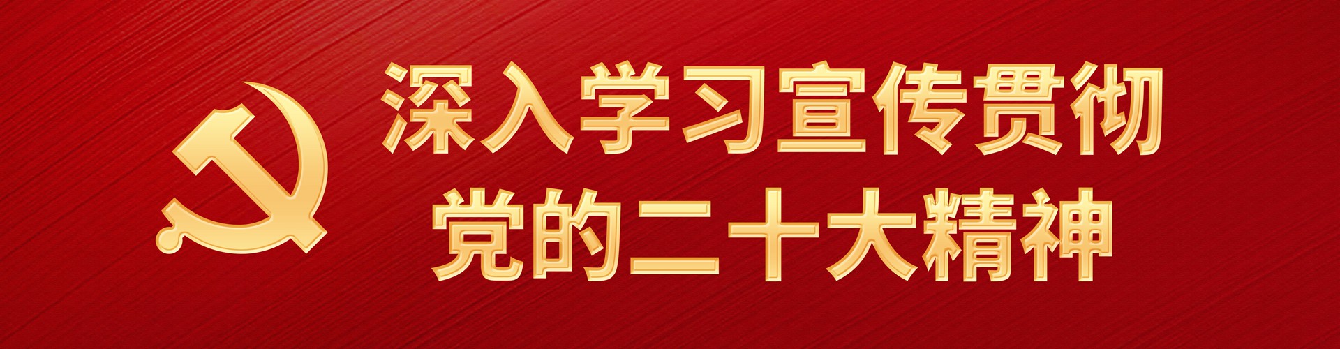 深入学习宣传贯彻党的二十大精神